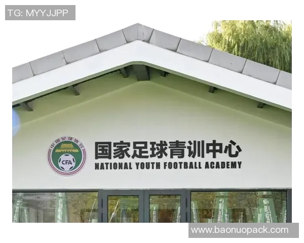 创新足球旗帜设计理念探索与实践分享让足球文化更具魅力与活力